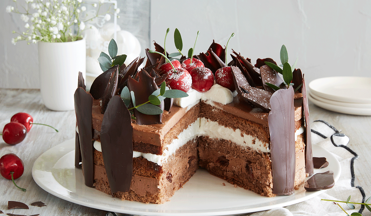 rencontre metier guy demarle