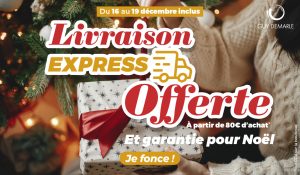 Livraison express offerte et garantie pour Noël jusqu'au 19/12