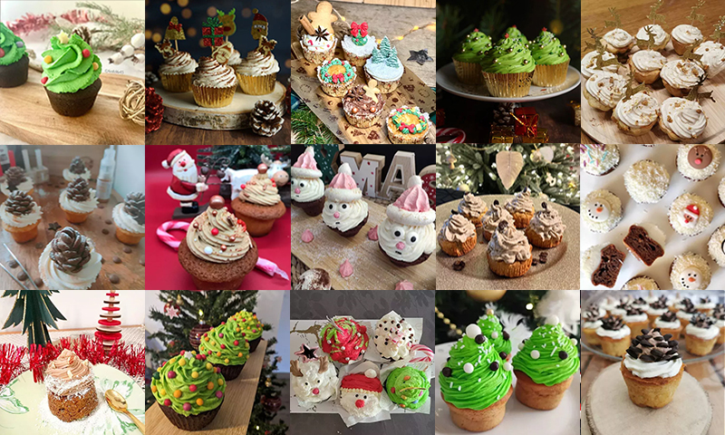 Découvrez quelques photos des recettes de cupcakes de fête proposées ! 