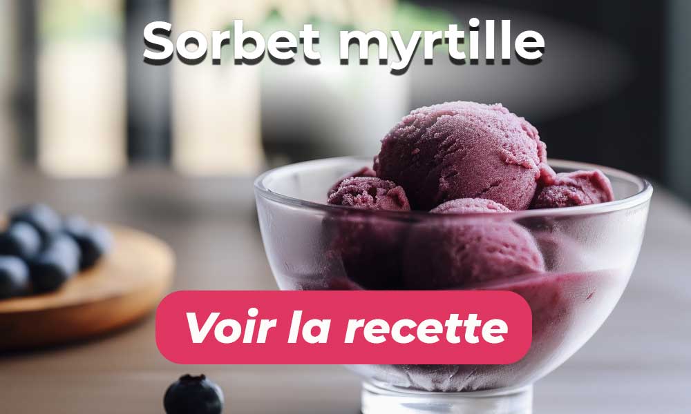 Sorbet à la myrtille