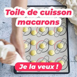 Toile de cuisson macarons Guy Demarle