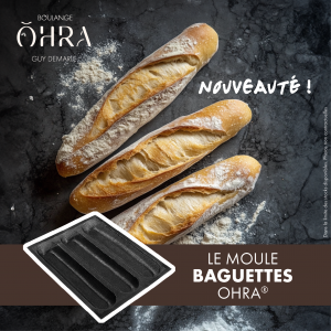 Moule 3 Baguettes OHRA®