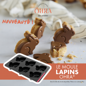 Moule 6 Lapins OHRA®