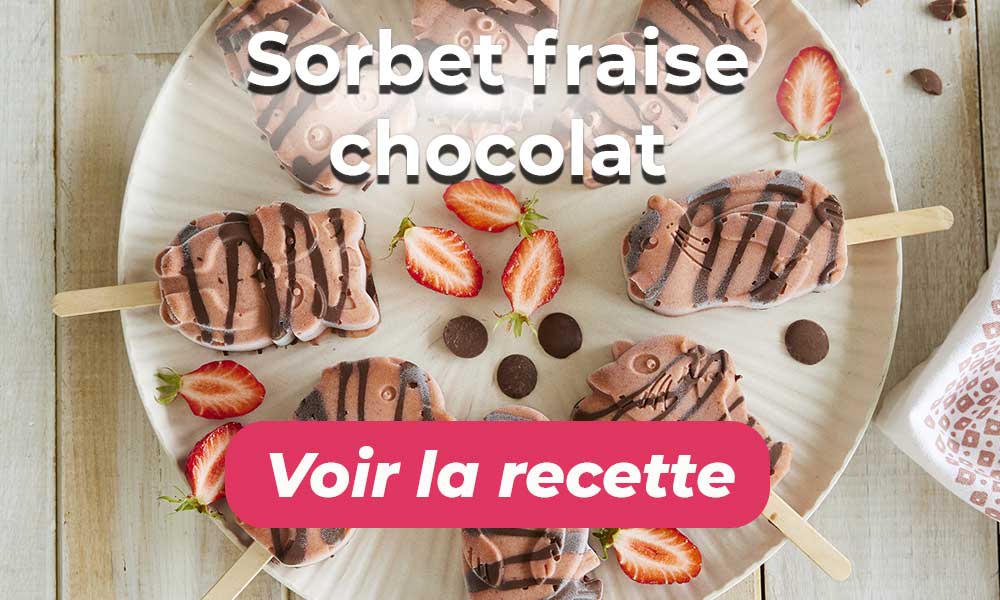 Sorbet fraise chocolat