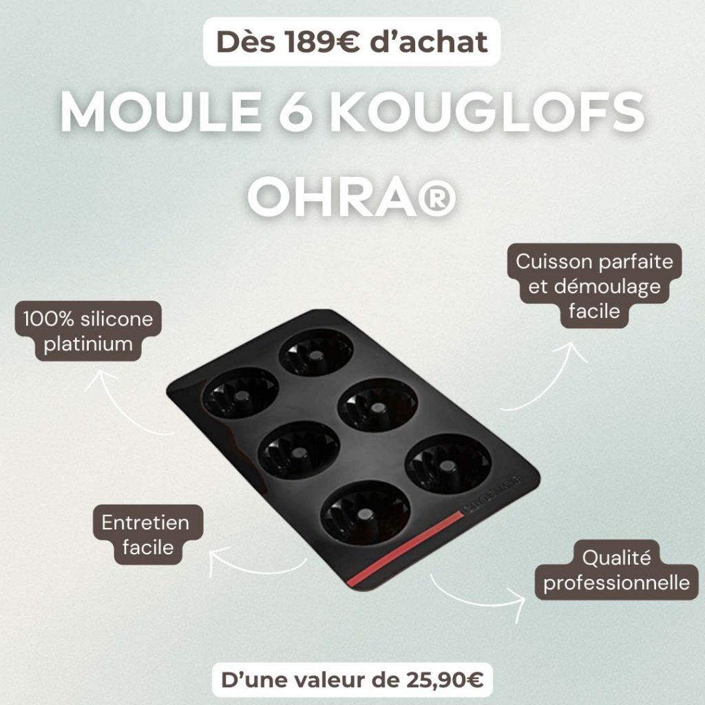 Moule 6 Kouglofs OHRA®